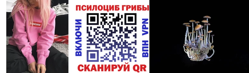 Галлюциногенные грибы Psilocybine cubensis  блэк спрут онион  Пятигорск 