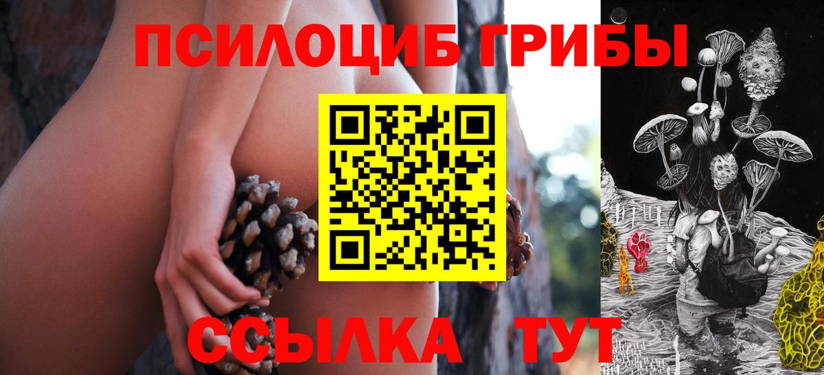 купить наркотики цена  Галлюциногенные грибы Psilocybine cubensis  Вход с VPN  Пятигорск  Галлюциногенные грибы Psilocybe 